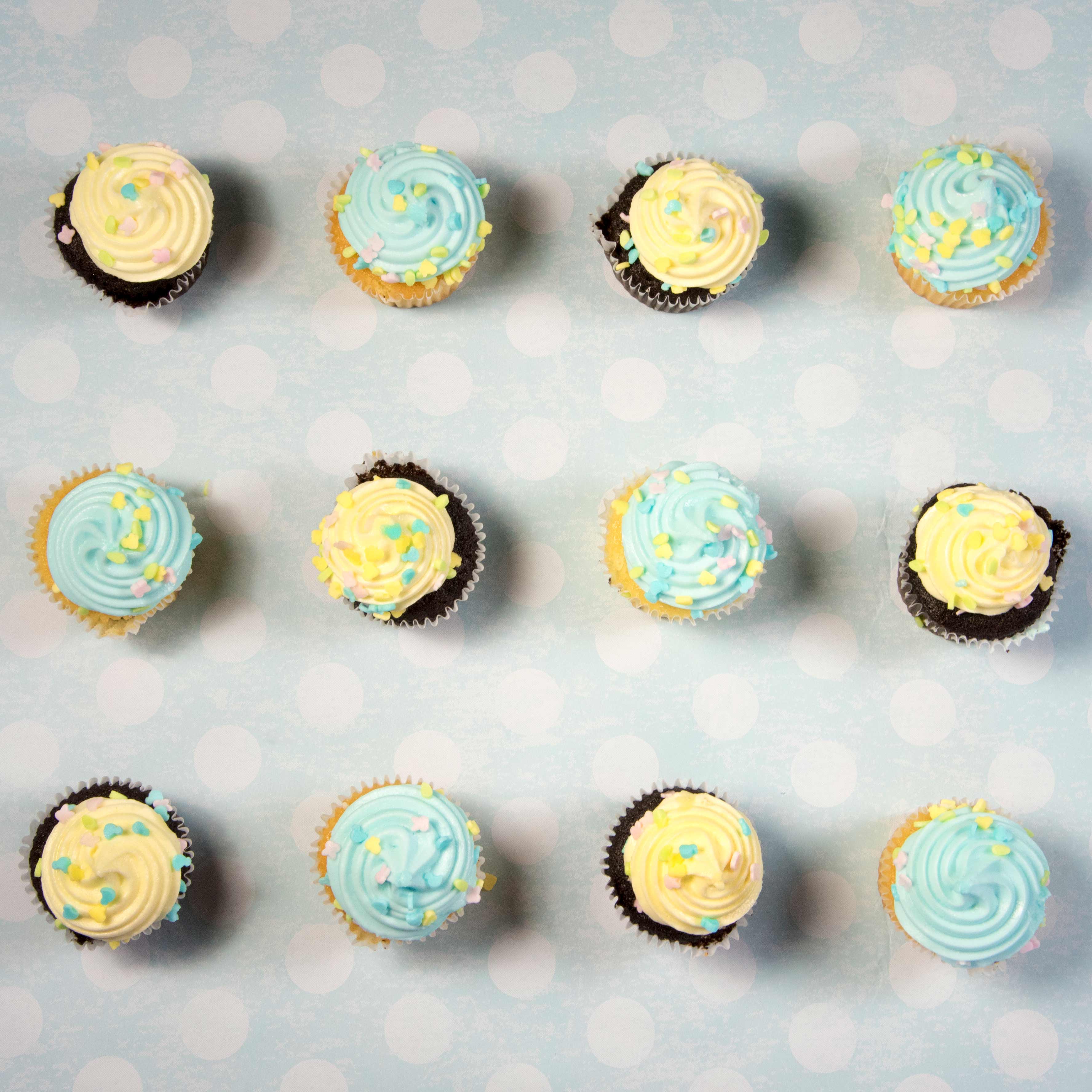 Cupcakes_WEB